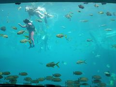 -瑞德姆美人鱼海底演艺主题餐厅(亚龙湾店)