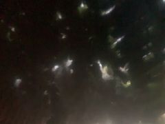 -国信南山温泉