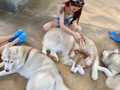 -TrueLove @ Neverland (Husky Cafe)