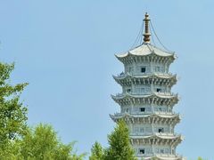 -五营红松林海景区