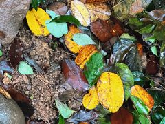 -宁波五龙潭景区