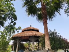 -枫香湖儿童公园