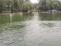 -团结湖公园