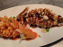 功夫松鼠桂鱼-小厨娘淮扬菜(江宁弘阳店)