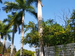 -明谷行馆·温泉