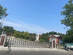 -云岗森林公园