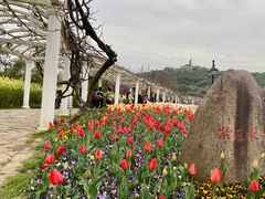 -苏州上方山国家森林公园