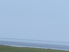 -奉贤海滩