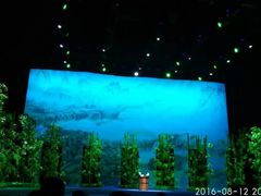 -国学剧院(功夫诗·九卷)