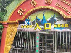 -瑞丽独树成林风景区