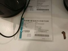 -sundanpulse顺电·脉(海岸城购物中心店)
