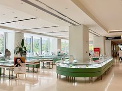-东北大学附属辽宁爱尔眼科医院