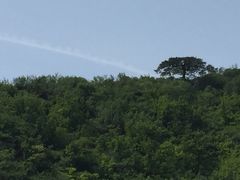 -云峰山自然风景区