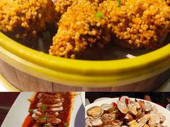 -前海沿·青岛菜(五四广场永旺店)