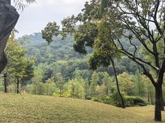 -云溪植物园