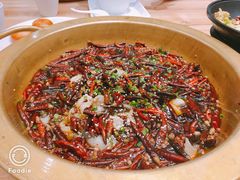 沸腾有机鱼-蓬舍鱼馆(英伦城邦店)