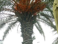 -亚龙湾亚泰商业街