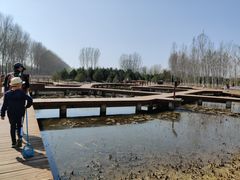 -东郊湿地公园