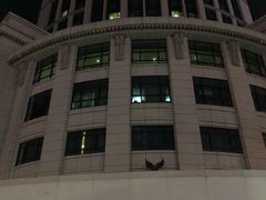 -茂名熹龙国际大酒店(人民广场高铁站店)