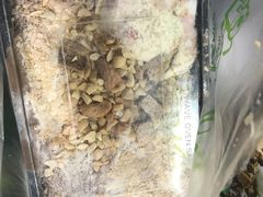 -MOMO冰品·生巧汤圆(红桥店)