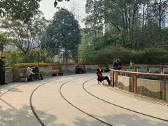 -成都市活水公园