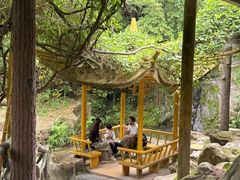 -大雁山风景区