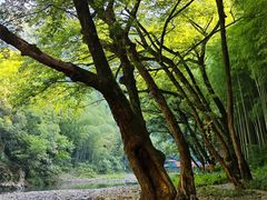 -水墨汀溪风景区