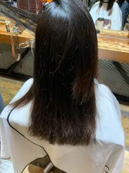 -CUT CUT Hair Salon