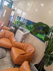 -臻悦医疗美容整形门诊部