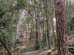 -缙云山景区