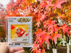 -昆山城市生态森林公园