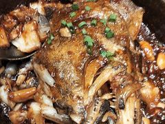 -海派美食·家宴海鲜青岛菜·石锅鲽鱼头(东方城店)