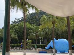 -重庆海昌加勒比海水世界