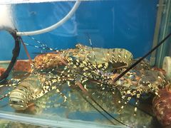 -海九澎湖海鲜餐厅