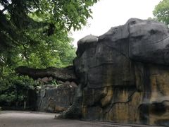 -重庆动物园·东二门售票处