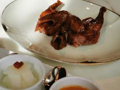 脆皮妙龄鸽-新荣记(新源南路店)