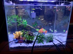 -Rabbit Cafe私房西餐甜点咖啡(栖霞路店)