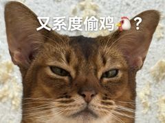 -瑞幸咖啡(同乐汇店)