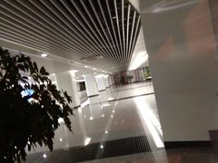 -石家庄正定国际机场-T2航站楼