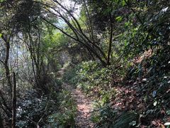 -天姥山