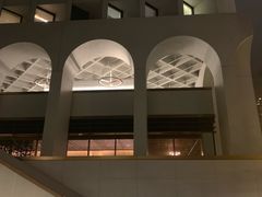 -尼依格罗香港美利酒店