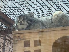 -青藏高原野生动物园