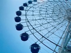 -秦皇岛乐岛海洋王国