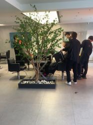 -付军剪艺JF ProSalon