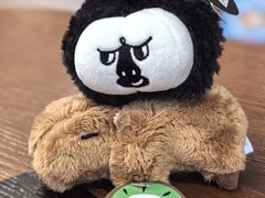 -ZOO COFFEE动物园咖啡(红山森林动物园店)
