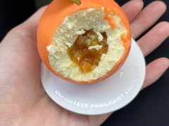 -TD66高山铁皮石斛养生茶饮