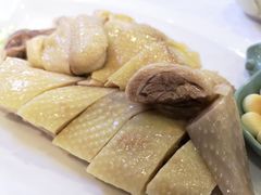 -清心鸡沙田乳鸽店·非遗传承(石溪店)