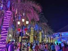 -三亚海昌梦幻海洋不夜城