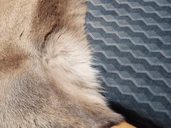 -DK45丹麦家居生活馆·依诺维绅(798店)