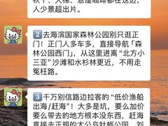 -日照海滨国家森林公园
